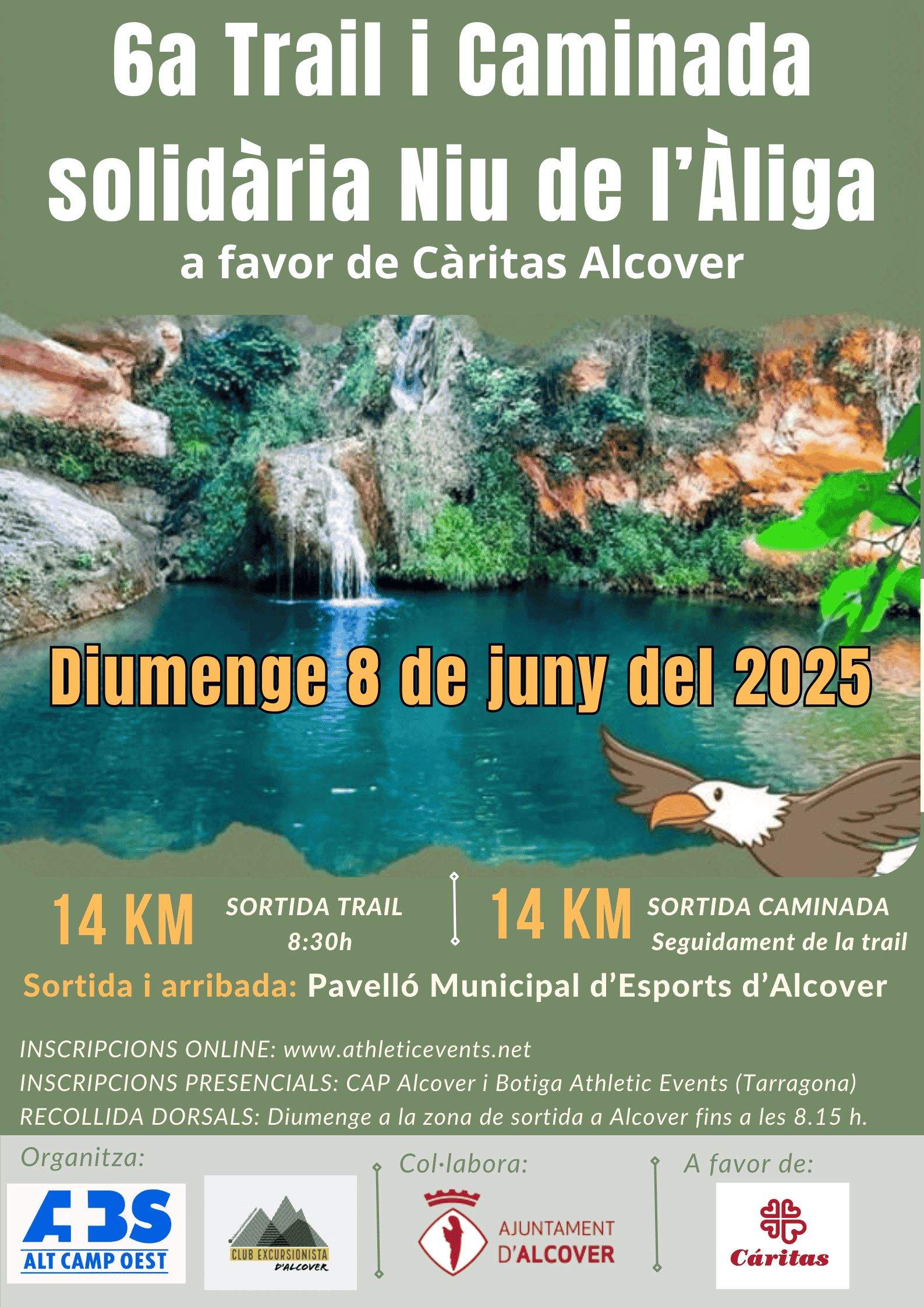 No et perdis la 6a Trail i Caminada Solidària Niu de l'Àliga!
